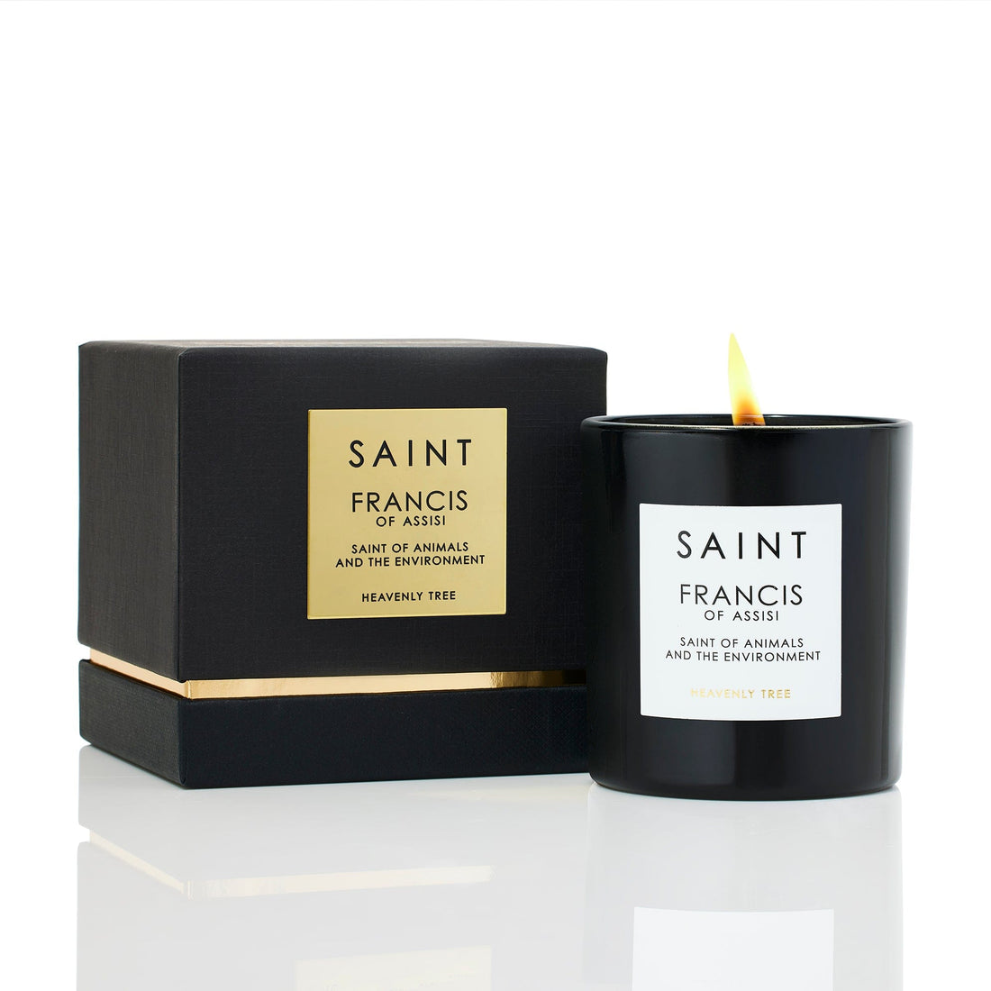 SAINT Candle • Francis of Assisi, Saint of Animals