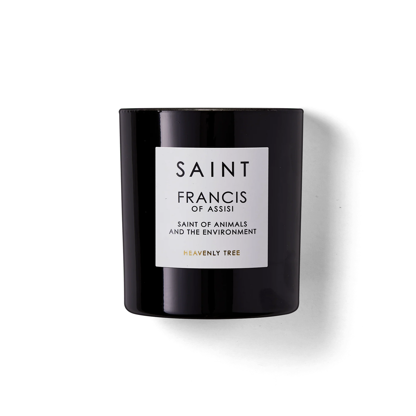 SAINT Candle • Francis of Assisi, Saint of Animals