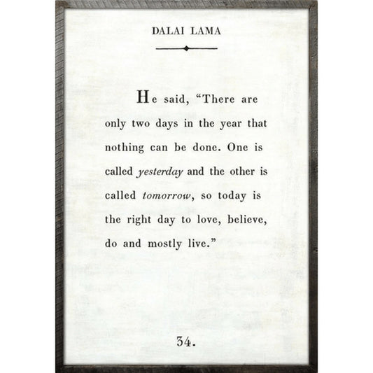 Sugarboo Dalai Lama - Book Collection Art Print